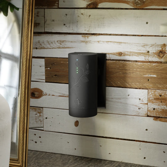 Plug-in Scent Diffuser Kit (Small Space) Includes Scent