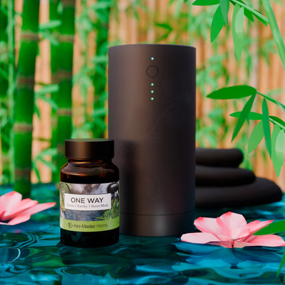 Plug-in Scent Diffuser Kit (Small Space) Includes Scent