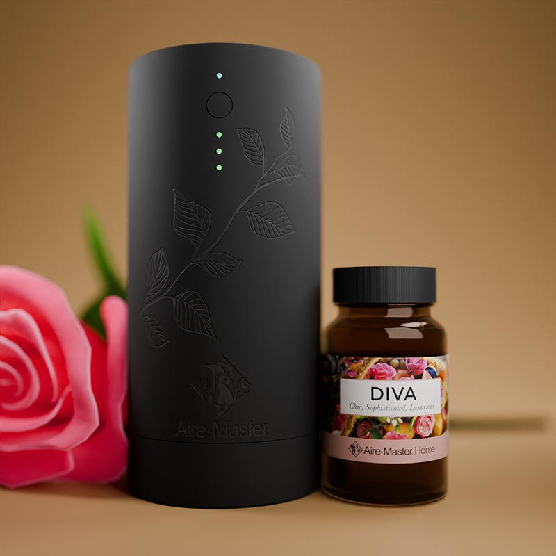 Plug-in Home Oil Scent Diffuser (Small Space)