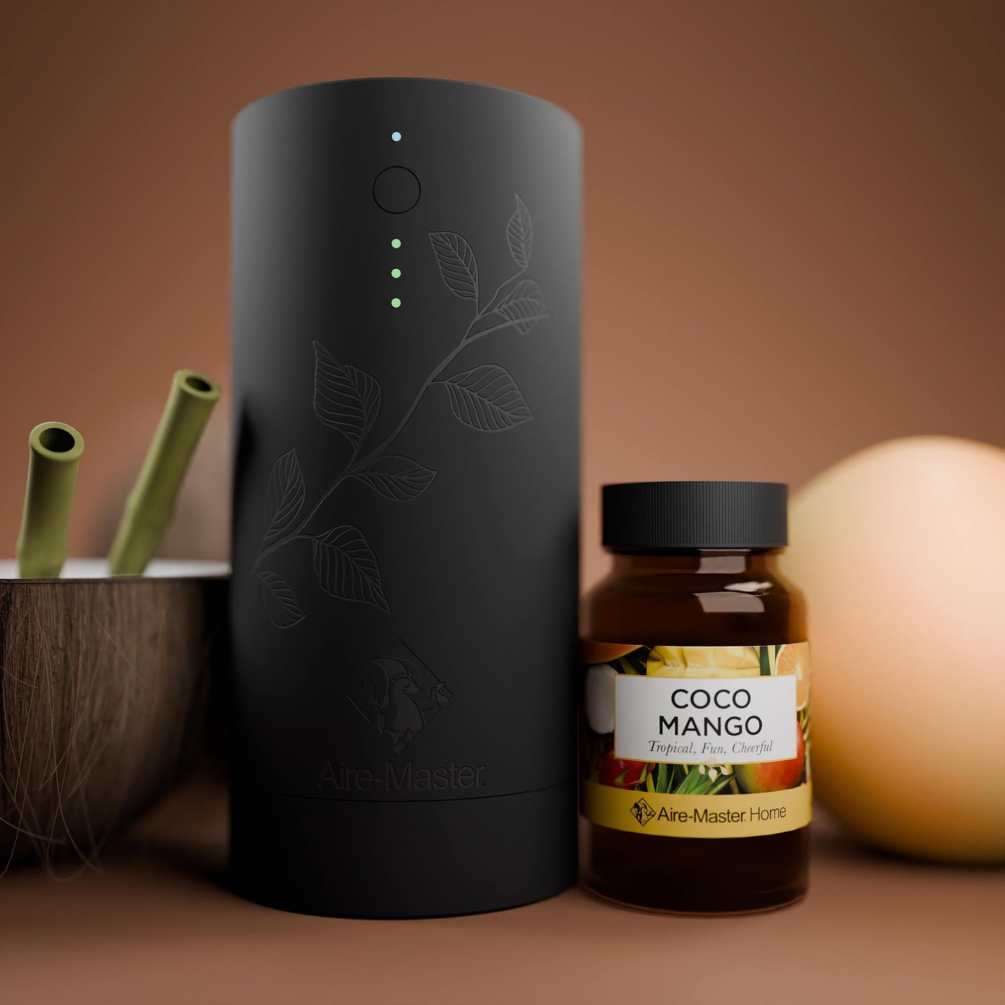 Plug-in Home Oil Scent Diffuser (Small Space)